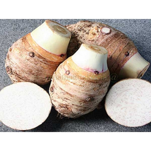 Khoai sọ - Dalat Natural Foods - Công Ty Cổ Phần Chế Biến Thực Phẩm Đà Lạt Tự Nhiên